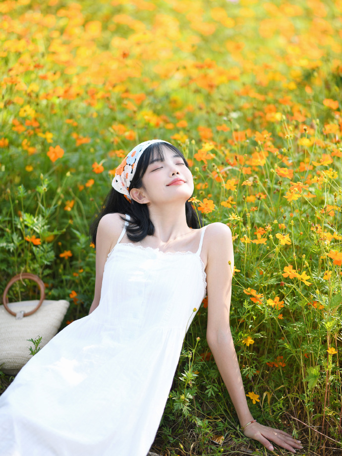 大明王朝1566